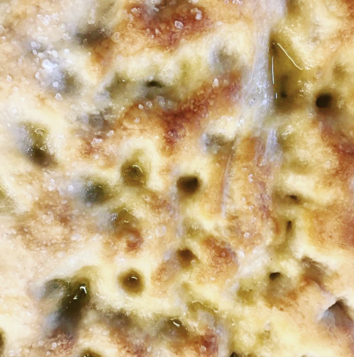 Focaccia senza impasto